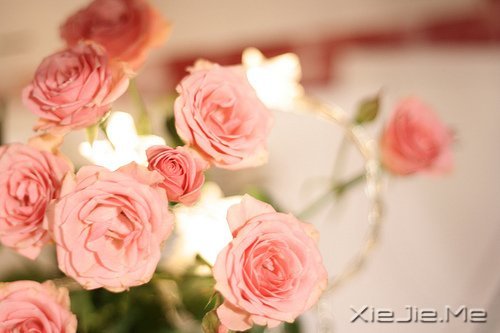 最深的孤独不是一片黑暗,而是你只能看到自己 (3)